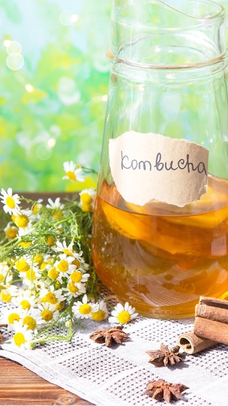 探索康普茶 Explore Kombucha 🔍🔍