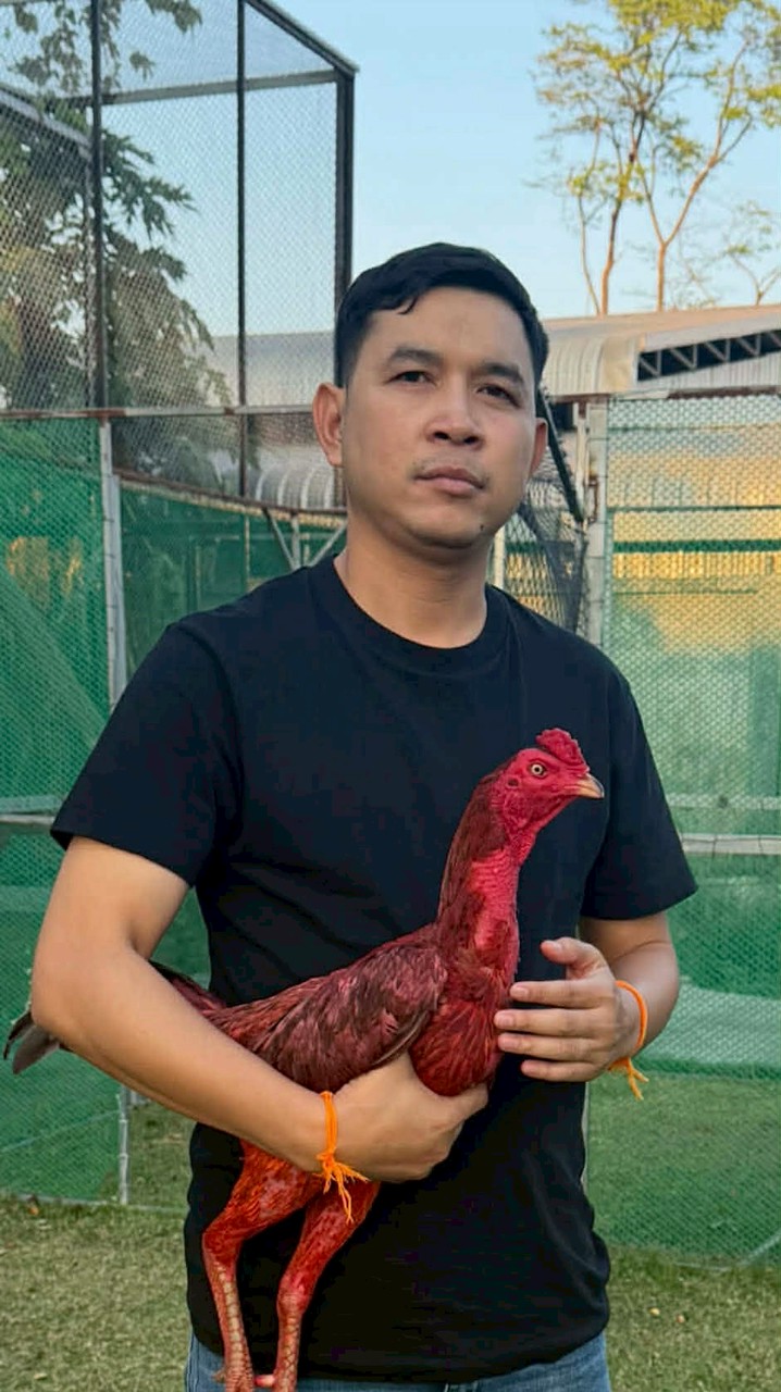 ซุ้มสิงโตทอง สปป.ลาว