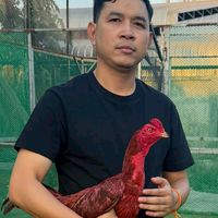 ซุ้มสิงโตทอง สปป.ลาว