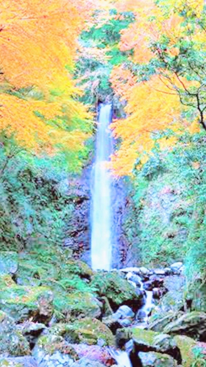 🌳岐阜県🌳イベント会