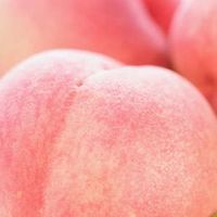 覓桃🍑進口水果