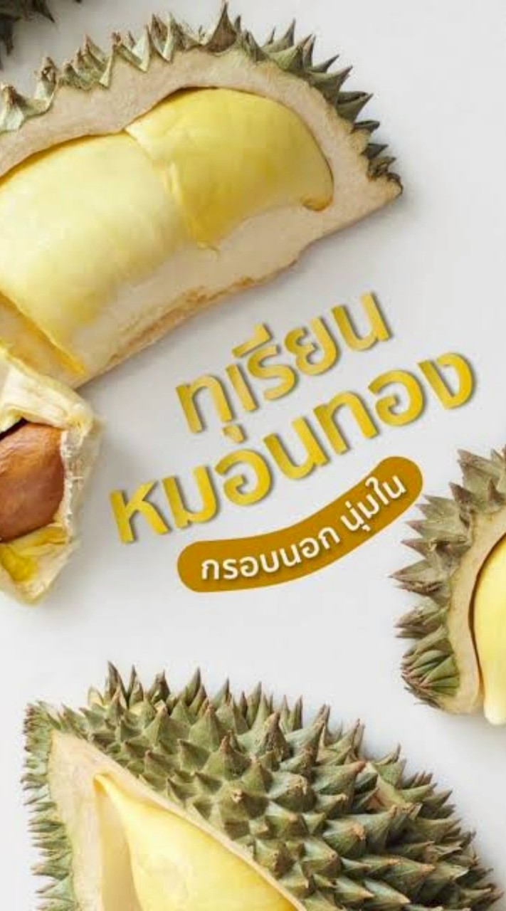 ทุเรียน ลาดพร้าว71 นาคนิวาส โชคชัย4 วังหิน สุคนธสวัสดิ์ ส่งฟรี