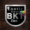 🦎Sakaeo Exotic BKT🇹🇭 ซื้อ-ขาย สัตว์เลี้ยง สัตว์แปลก