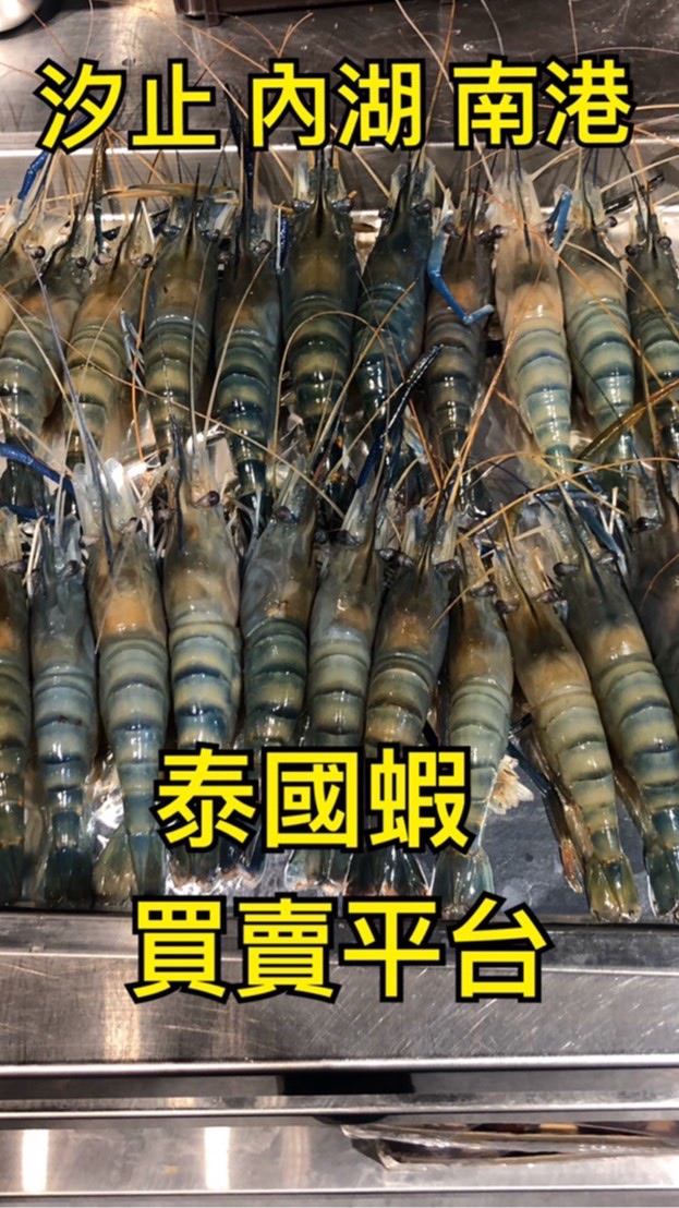 汐.湖.港泰國蝦買賣平台