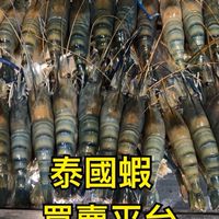 汐.湖.港泰國蝦買賣平台