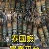 汐.湖.港泰國蝦買賣平台