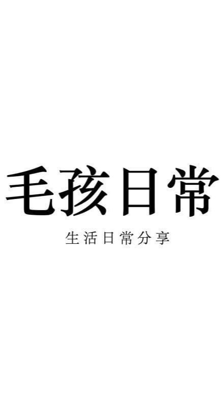 【毛孩日常】毛孩分享、選品代購