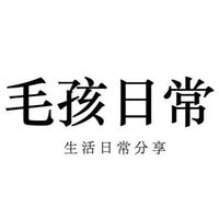 【毛孩日常】毛孩分享、選品代購