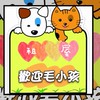 雙北租屋🏠寵物友善🐕🐱🥰