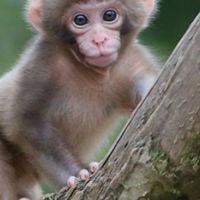 スプラやってる人こなーい?