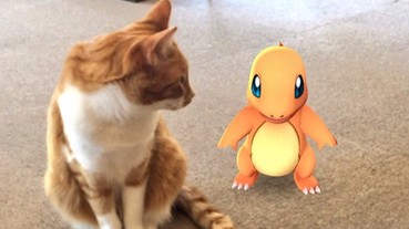 各國網友指證歷歷 家中的寵物居然能發現 Pokémon 的存在！