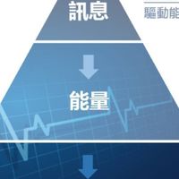 母細胞營養素/再生科學