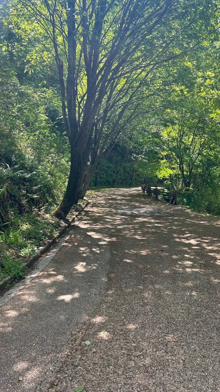 東海地方🗾ゆる〜く登山⛰️