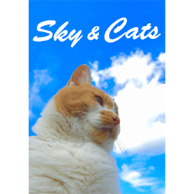 そらとねこさん	