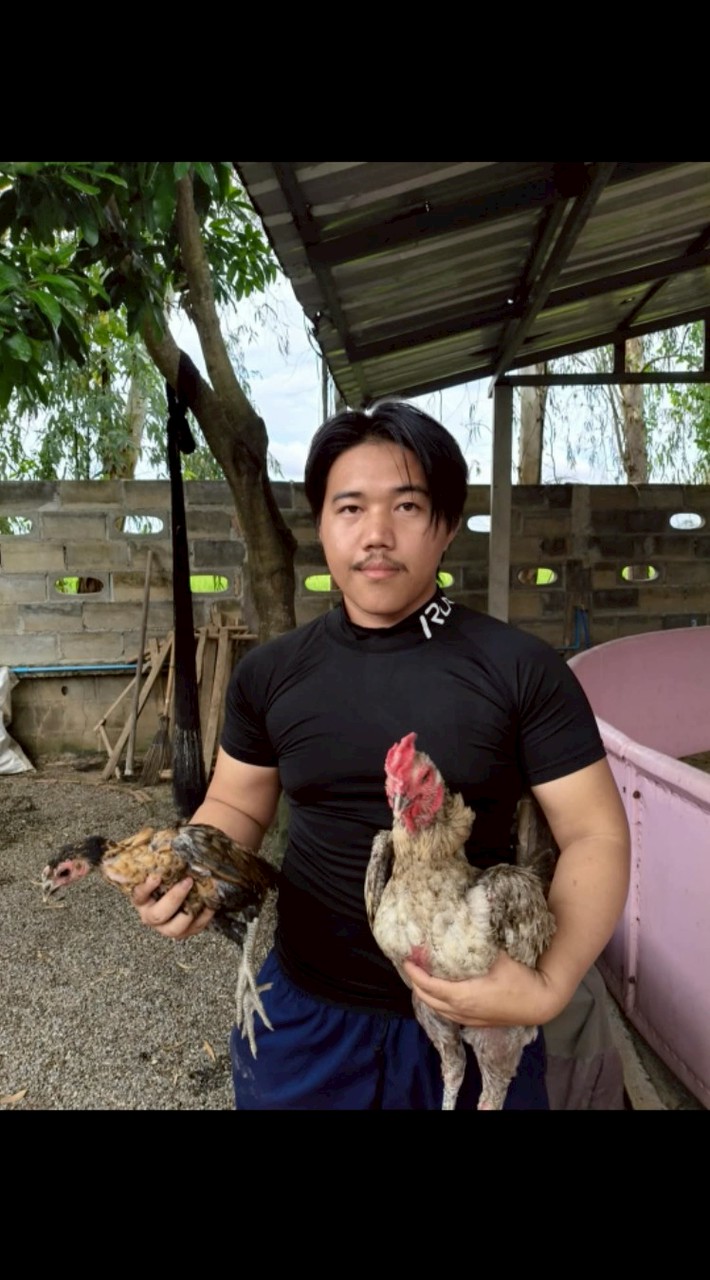 แตะใส่ แตะใส่ แตะใส่