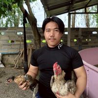 แตะใส่ แตะใส่ แตะใส่