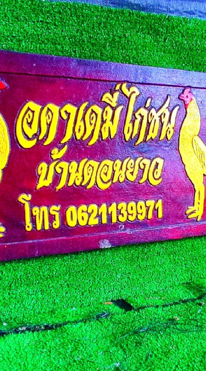 อคาเดมี่ไก่ชนบ้านดอนยาว