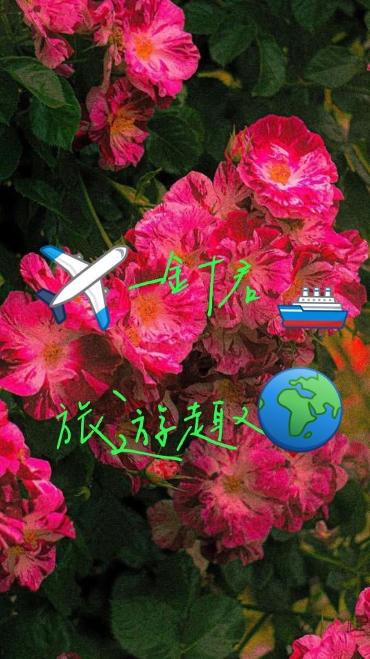 🛫一針君遊🌎世界🛳️✈️國內外旅遊