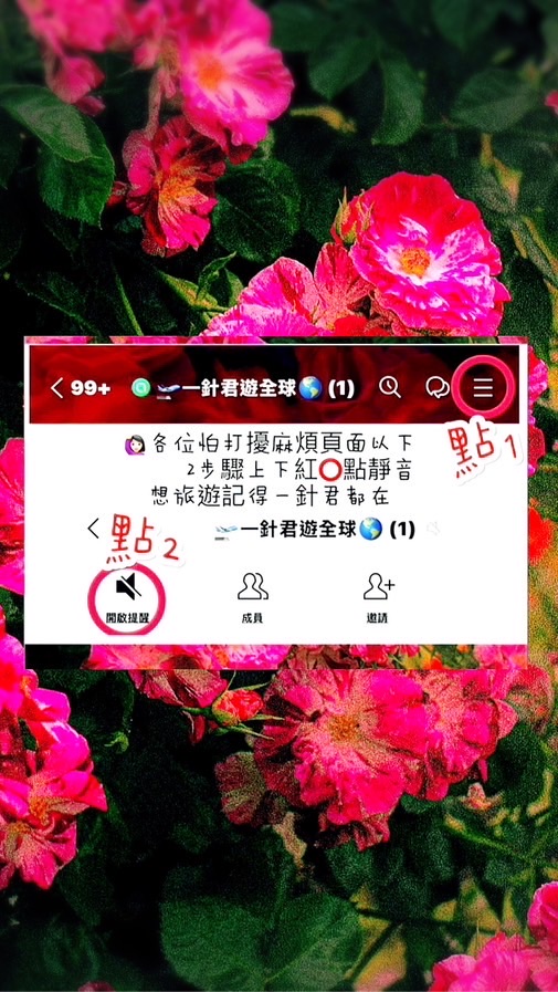 🛫找到了一針君遊🌎全球🛩️🛳️