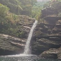 全台趴趴走