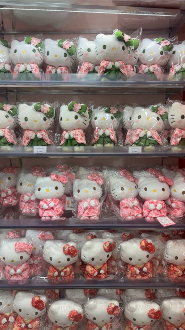 รับหิ้วญี่ปุ่น🇯🇵รับกดเว็บสั่งของ📦✨