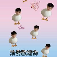 梳子團