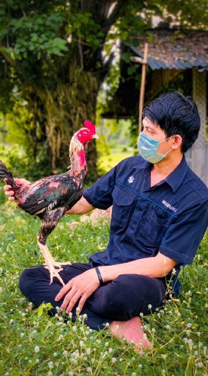 หนุ่มนาแค ไก่ชนอุบล #กลุ่ม2