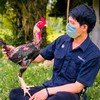 หนุ่มนาแค ไก่ชนอุบล #กลุ่ม2