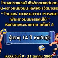 ไทยเบฟ DOMESTIC POWER (รุ่นอายุ 14 ปี)
