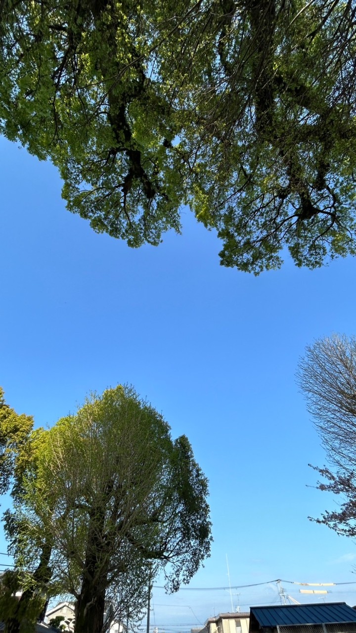4期生コミュニティ