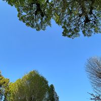 4期生コミュニティ