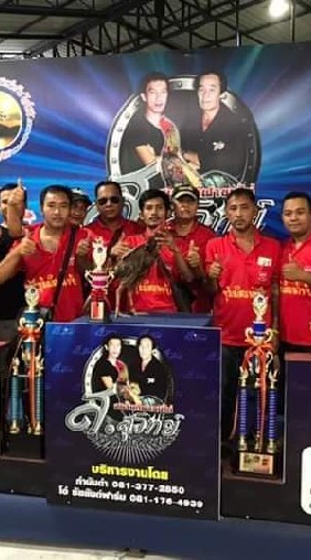ซุ้ม.มิตรนำชัย ( ณัฐธนา ฟาร์ม )