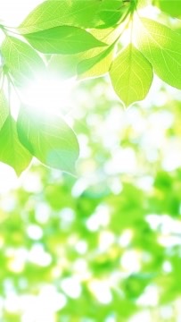 双極性障害・鬱病もち教員のための雑談部屋