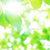 双極性障害・鬱病もち教員のための雑談部屋