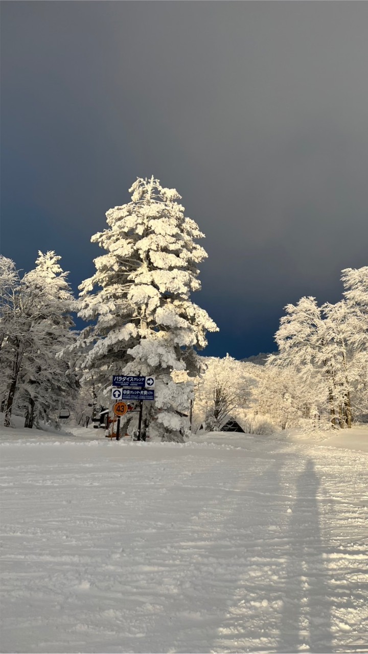 SHINONOME Ski Snow board 好き