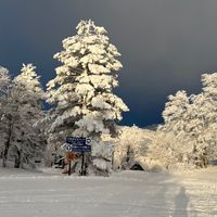 SHINONOME Ski Snow board 好き