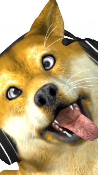 🐶犬居ねこまる。悪犬会🐾