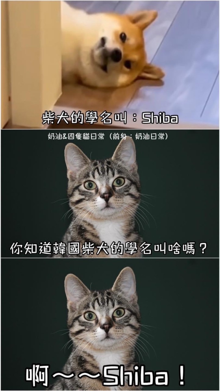 快說話啊 快