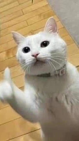 幹話抽象派
