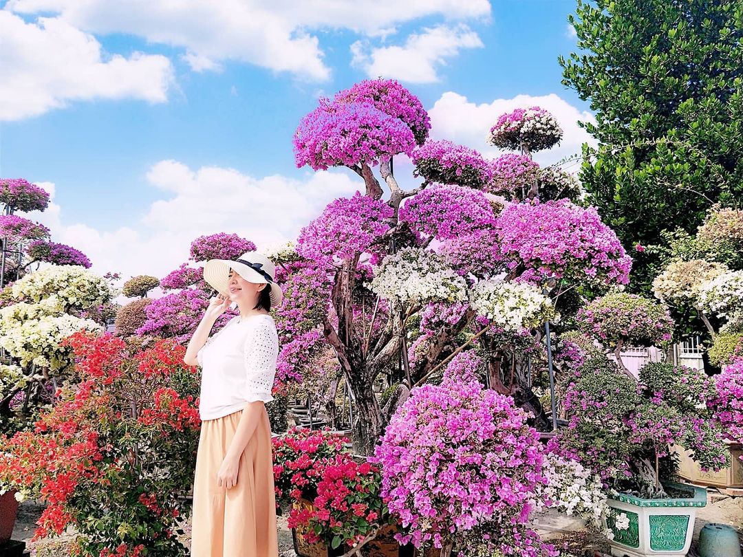 輝豐園藝 @baby9417