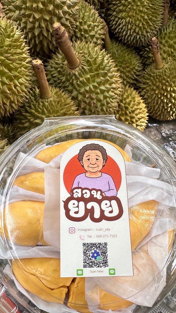 ทุเรียนหมอนทอง ก้านยาว จันทบุรี