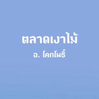 ตลาดเงาไม้ อ.โคกโพธิ์