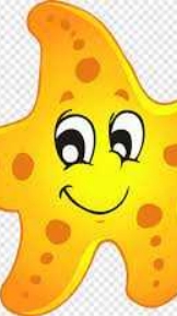 Starfish
