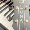 ウクレレひこう🎸