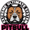 無料FX自動売買ゴールドEA【PITBULL】公式