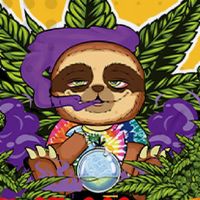 Life4weed