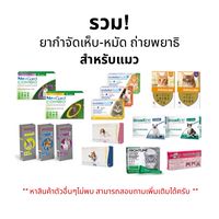 🐱 NexGard - Advocate - Revolution - Broadline [แท้