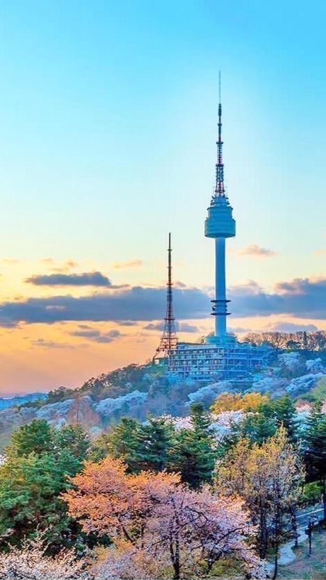 🇯🇵日韓代購6/7-11韓國🇰🇷