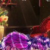 あくねこ ﾆｮﾀ化＋Mafiaパロ