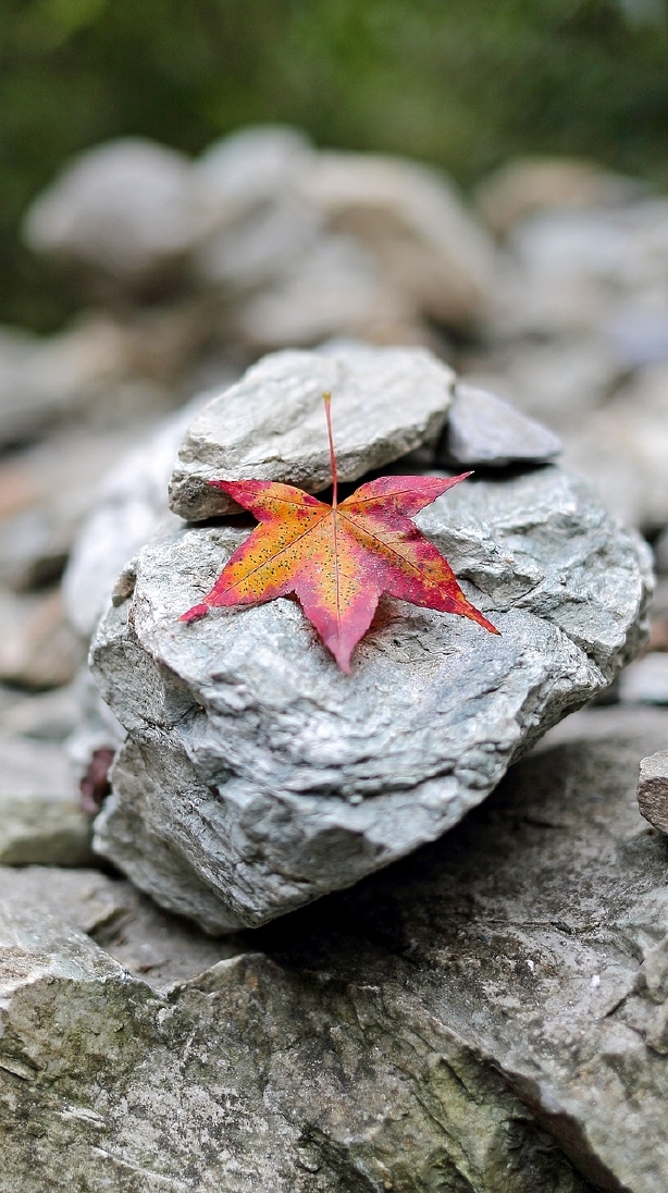 💡花蓮移居/換宿生活大小事在一起💡